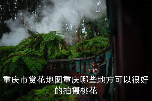 重慶市北碚區賞桃花哪里好，重慶現在賞花去哪里風景很好呢 我江北的我們都要當日去回