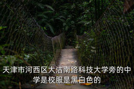 天津市河西區大沽南路科技大學旁的中學是校服是黑白色的