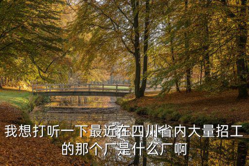 我想打聽一下最近在四川省內(nèi)大量招工的那個廠是什么廠啊