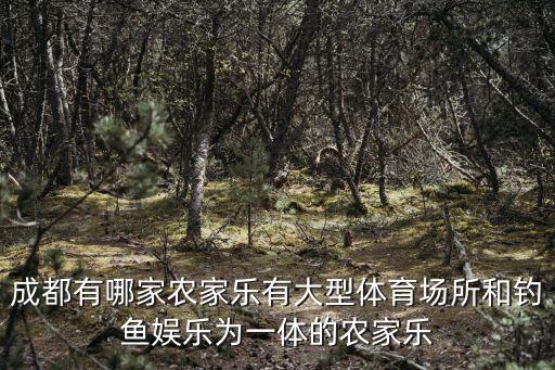 成都有哪家農家樂有大型體育場所和釣魚娛樂為一體的農家樂