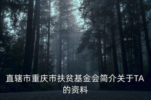 直轄市重慶市扶貧基金會簡介關于TA的資料