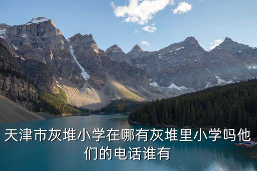 天津市名都小學官網，天津河西水晶名都小學一年級什么時候補報名