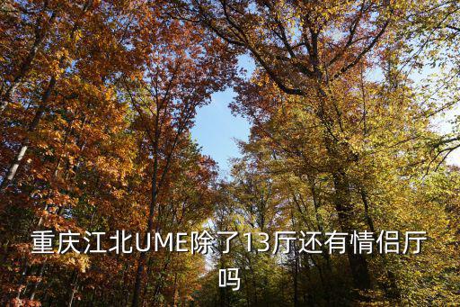 重慶江北UME除了13廳還有情侶廳嗎