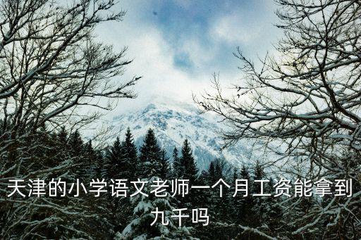 天津的小學語文老師一個月工資能拿到九千嗎