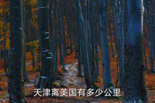 天津離美國有多少公里
