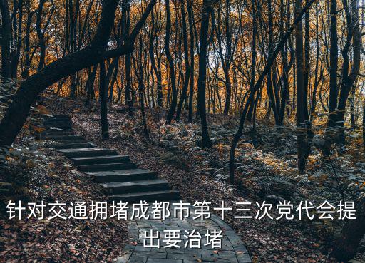 針對(duì)交通擁堵成都市第十三次黨代會(huì)提出要治堵