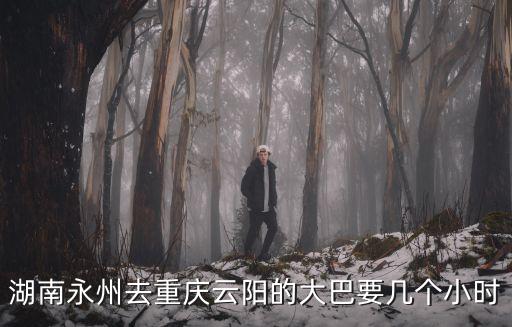 湖南永州去重慶云陽的大巴要幾個小時