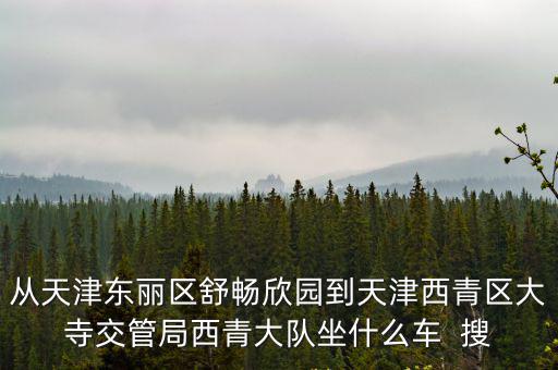 從天津東麗區舒暢欣園到天津西青區大寺交管局西青大隊坐什么車  搜