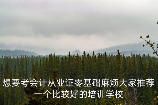 想要考會計從業(yè)證零基礎(chǔ)麻煩大家推薦一個比較好的培訓(xùn)學(xué)校