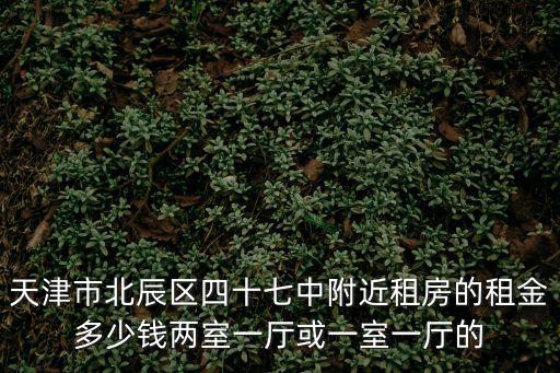 天津市北辰區四十七中附近租房的租金多少錢兩室一廳或一室一廳的