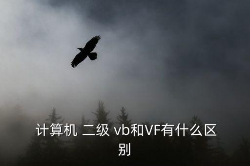  計算機 二級 vb和VF有什么區別