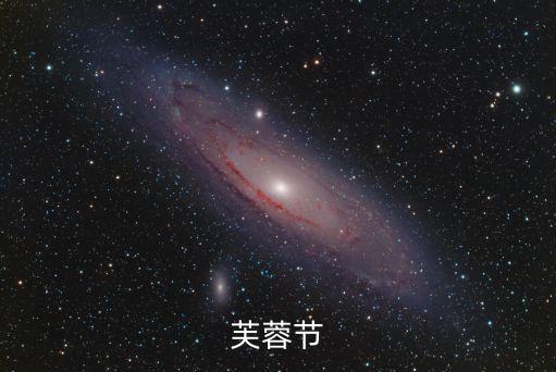 成都市委下令，成都 城南芙蓉花開 在哪 是個(gè)什么地方 什么街道