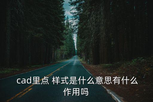  cad里點 樣式是什么意思有什么作用嗎