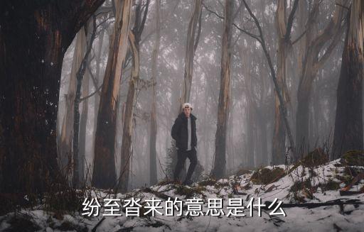  紛至沓來的意思是什么