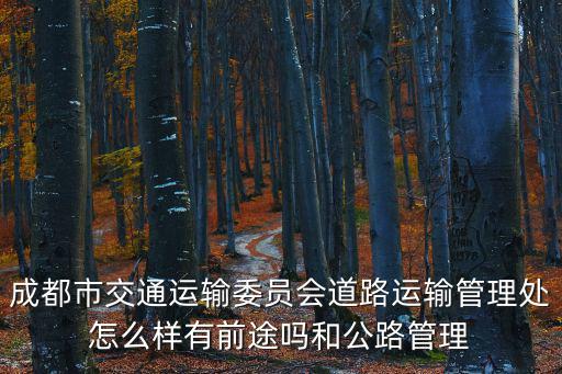 成都市交通運(yùn)輸委員會(huì)道路運(yùn)輸管理處怎么樣有前途嗎和公路管理