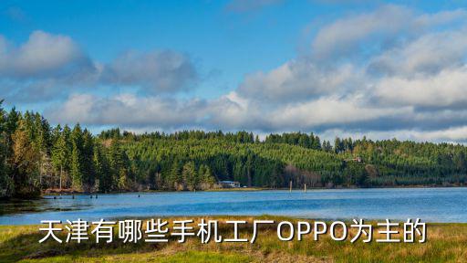 天津有哪些手機工廠OPPO為主的