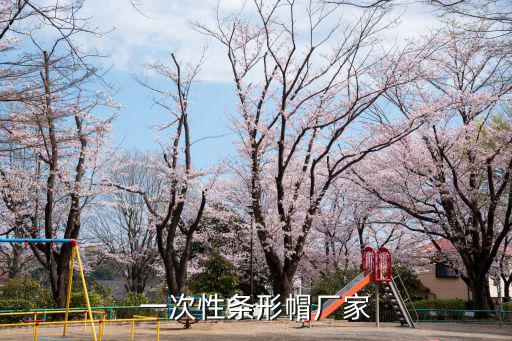 成都市比優(yōu)特塑料制品有限公，有誰(shuí)知道哪里生產(chǎn)環(huán)保購(gòu)物膜