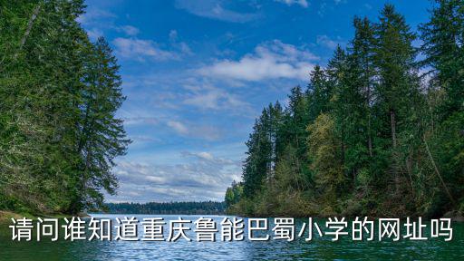 請問誰知道重慶魯能巴蜀小學的網址嗎