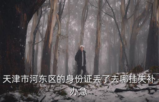 天津市河?xùn)|區(qū)的身份證丟了去哪掛失補辦急