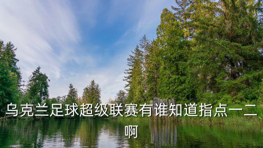 烏克蘭足球超級聯(lián)賽有誰知道指點一二啊