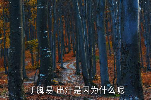  手腳易 出汗是因?yàn)槭裁茨? class=