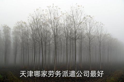 天津哪家勞務派遣公司最好