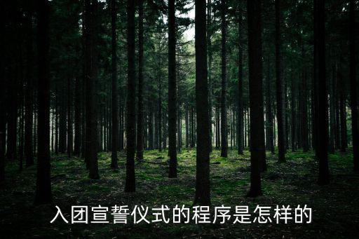 共青團入團誓詞,我自愿加入中國共產主義青年團