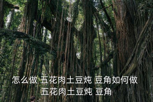 怎么做 五花肉土豆燉 豆角如何做 五花肉土豆燉 豆角