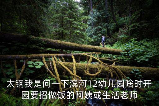 太鋼我是問一下濱河12幼兒園啥時開園要招做飯的阿姨或生活老師