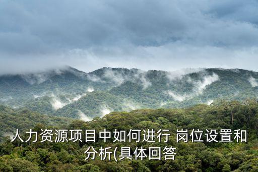 人力資源項目中如何進行 崗位設置和 分析(具體回答