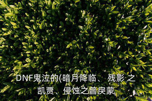 殘影之凱賈,鬼魅等級提升裝備更多元化技能