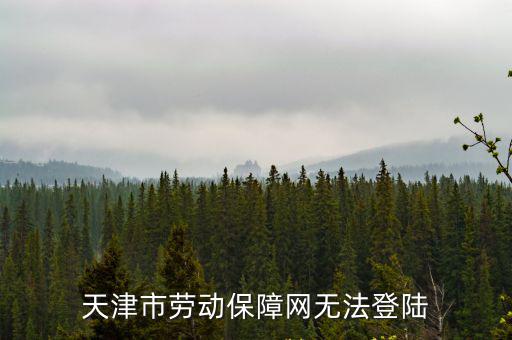天津市勞動保障網無法登陸