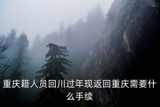 重慶籍人員回川過年現(xiàn)返回重慶需要什么手續(xù)