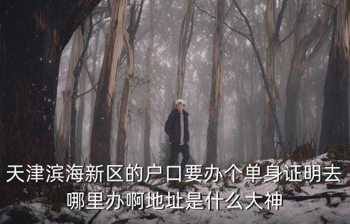 天津濱海新區(qū)的戶口要辦個單身證明去哪里辦啊地址是什么大神