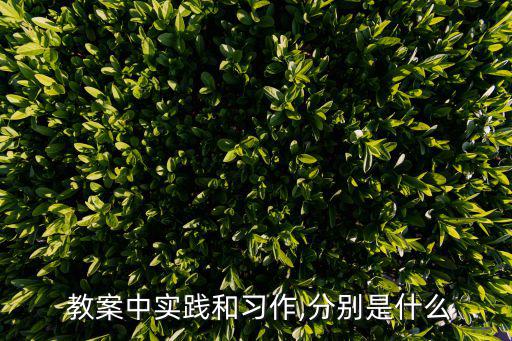  教案中實踐和習作,分別是什么
