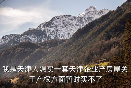 我是天津人想買一套天津企業產房屋關于產權方面暫時買不了