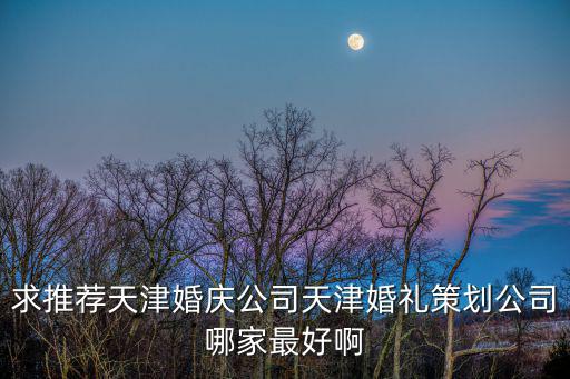 求推薦天津婚慶公司天津婚禮策劃公司哪家最好啊