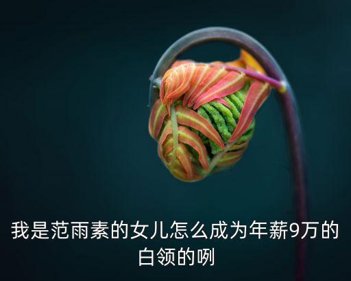 我是范雨素的女兒怎么成為年薪9萬的白領的咧