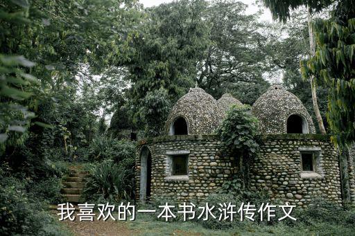 我喜歡的一本書水滸傳作文
