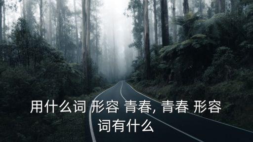 用什么詞 形容 青春, 青春 形容詞有什么