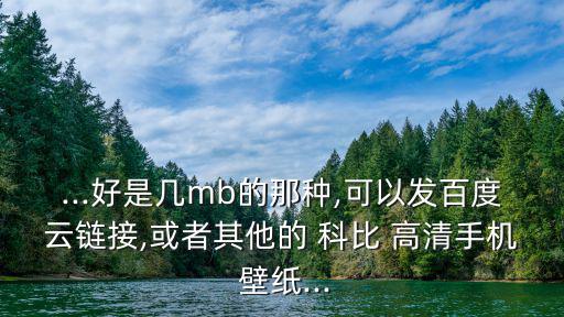 ...好是幾mb的那種,可以發百度云鏈接,或者其他的 科比 高清手機 壁紙...