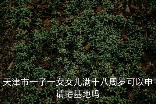天津市一子一女女兒滿十八周歲可以申請(qǐng)宅基地嗎