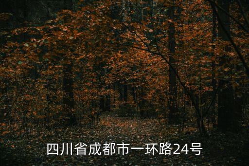 四川省成都市一環路24號