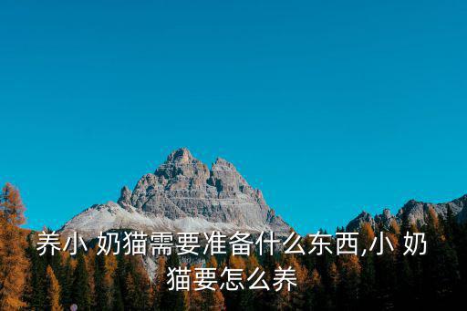 養小 奶貓需要準備什么東西,小 奶貓要怎么養