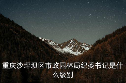 重慶市紀委監委副組長是什么職位，重慶市南川區衛生局紀檢組長是什么級別