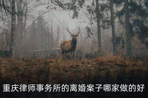 重慶律師事務(wù)所的離婚案子哪家做的好