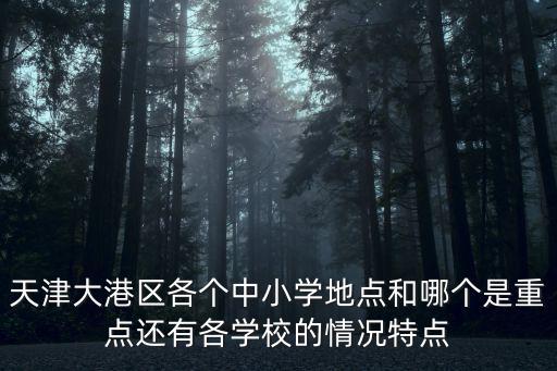 天津大港區各個中小學地點和哪個是重點還有各學校的情況特點
