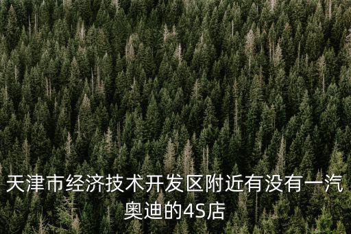 天津市經(jīng)濟(jì)技術(shù)開發(fā)區(qū)附近有沒有一汽奧迪的4S店