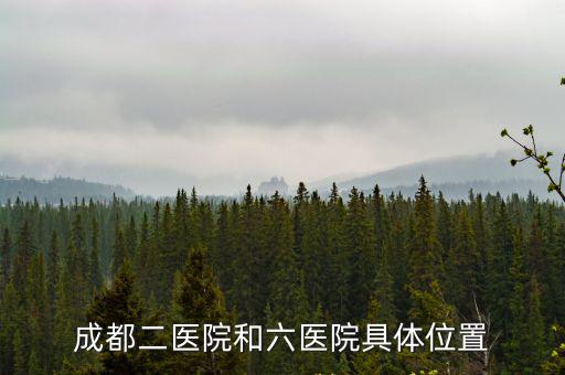 成都市六醫院面積多大，成都西區醫院大還是第六人民醫院大