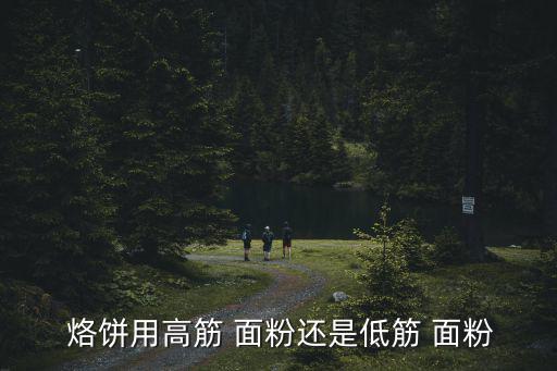  烙餅用高筋 面粉還是低筋 面粉